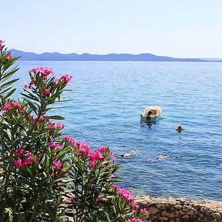 Appartamento Blue Adria Zadar-kozino - Cdn02102d-dyd Kožino